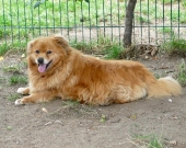 Pension_10