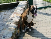 Pension_19
