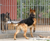 Pension_19