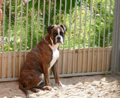 Pension_21