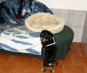 Pension_22