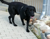 Pension_23