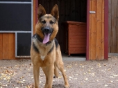 Pension_29