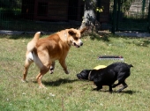 Pension_2