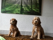 Pension_3