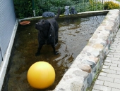 Pension_6
