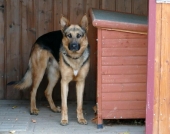 Pension_71