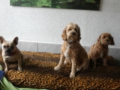 Pension_7