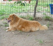 Pension_9