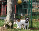 Pension_10
