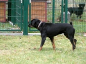 Pension_25