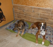 Pension_30