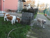 Pension_31