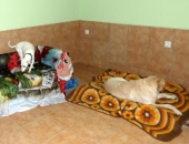 Pension_76