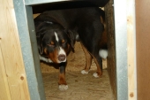 Pension_12