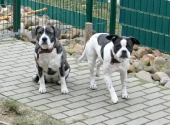 Pension_2