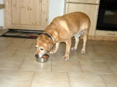 Pension_1