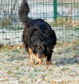 Pension_22