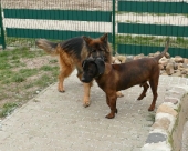 Pension_31