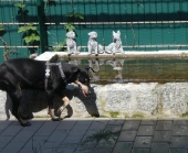 Pension_118