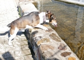 Pension_22