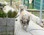 Pension_28