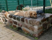 Pension_23