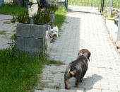 Pension_3