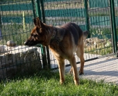 Pension_40