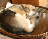 Pension_10