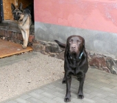 Pension_26
