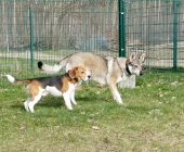 Pension_34
