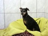 Pension_3