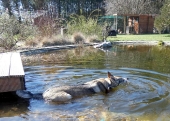 März 2019