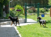 Pension_11