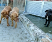 Pension_2