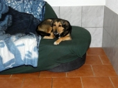 Pension_8