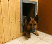Pension_12