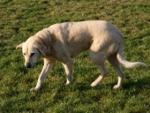 Pension_23