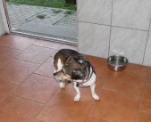 Pension_23