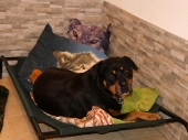 Pension_23