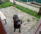 Pension_24