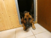 Pension_26