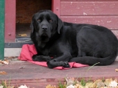 Pension_27