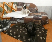 Pension_2