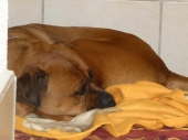 Pension_41