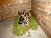 Pension_45