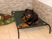 Pension_6