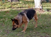 Pension_70