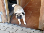 Pension_21